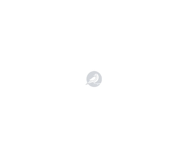 Discover Sparrow